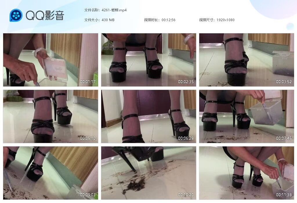 4261-蟋蟀20240