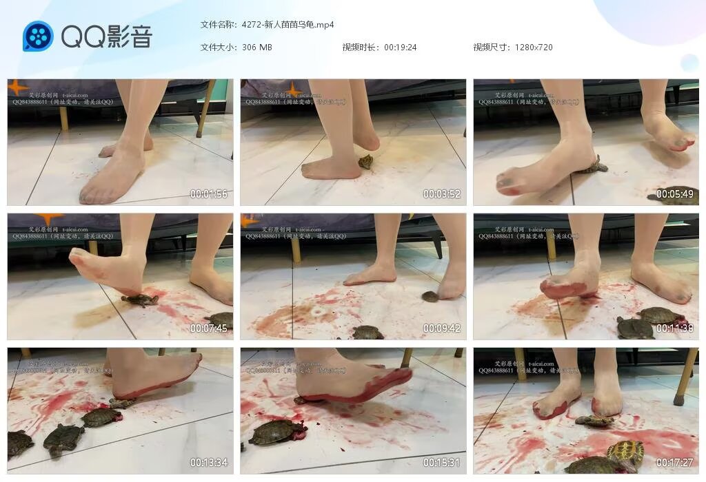 4272-新人苗苗乌