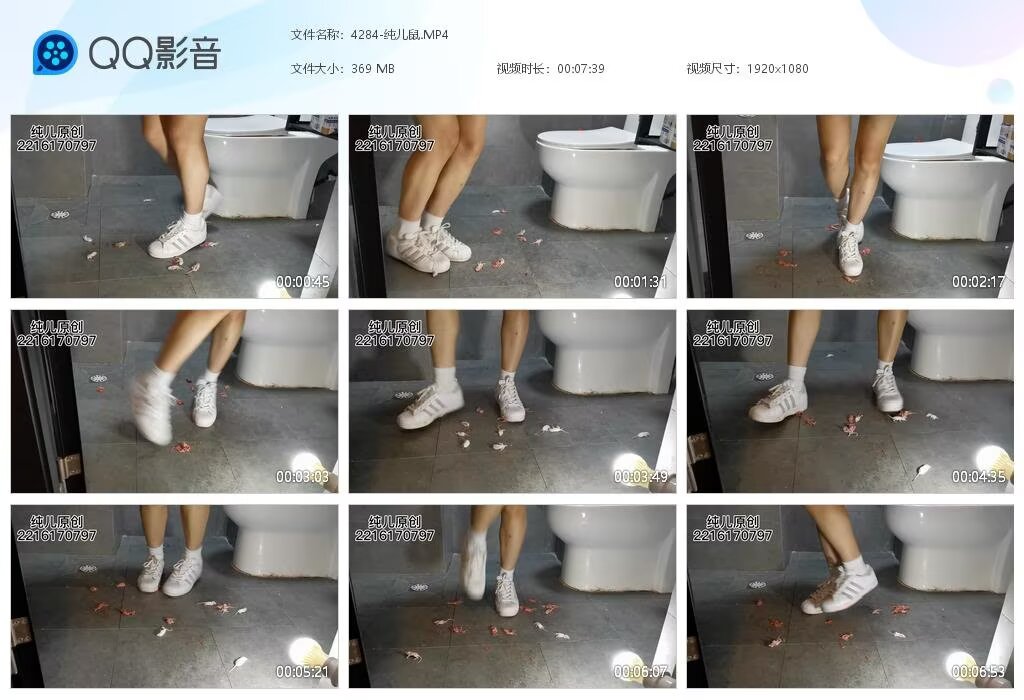 4284-纯儿鼠202