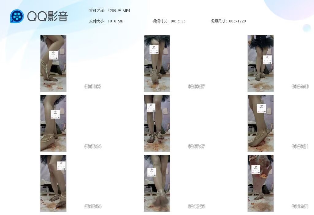 4289-鱼2024070