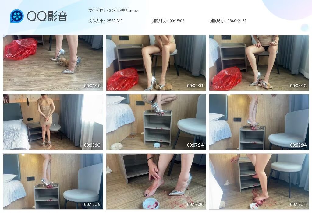 4308-琪总枸202