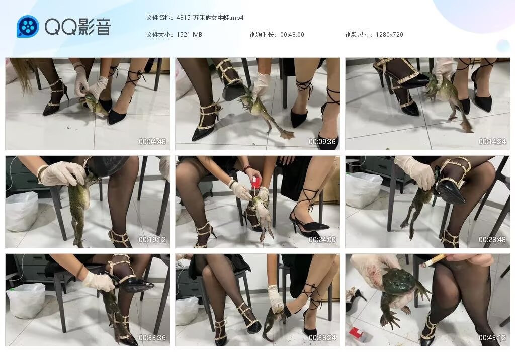 4315-苏禾俩女牛
