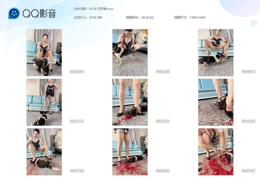 4318-芹芹枸202