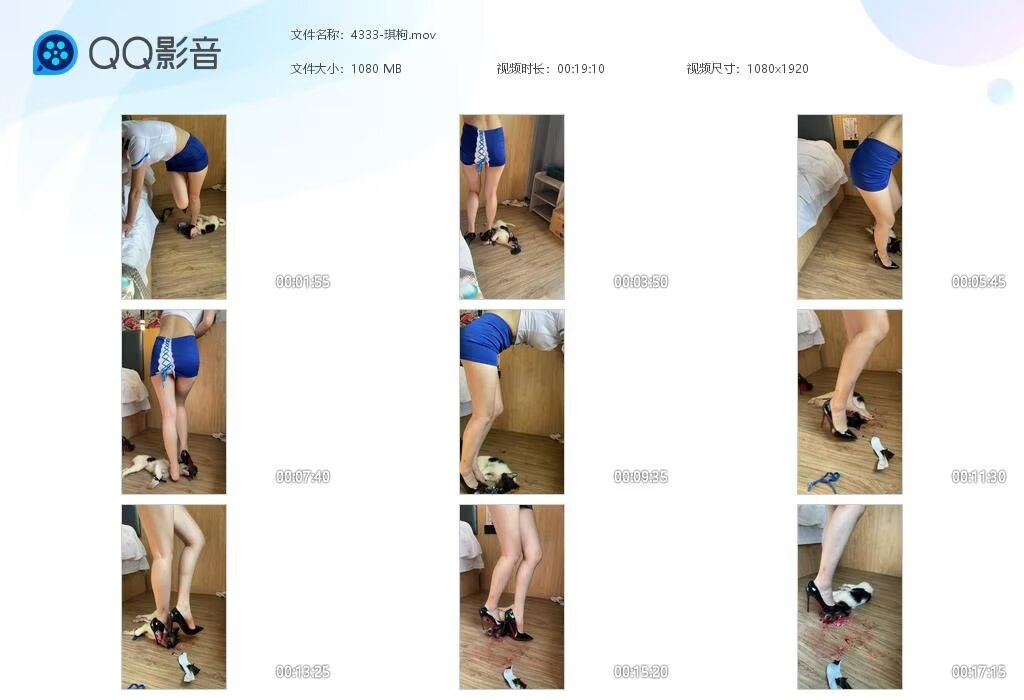 4333-琪枸20240