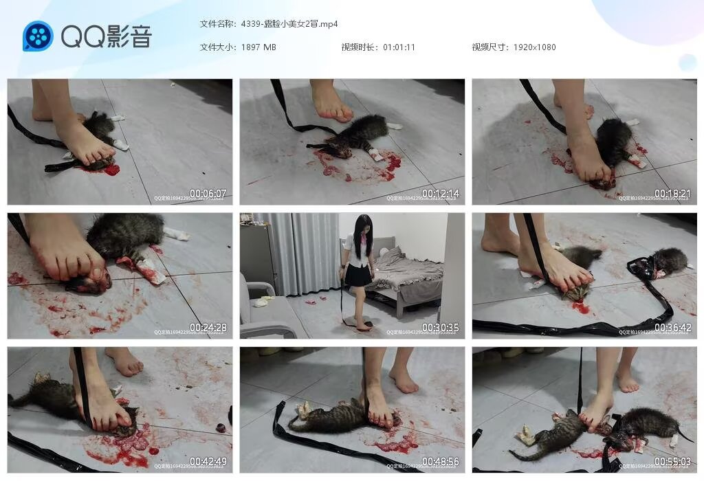 4339-露脸小美女