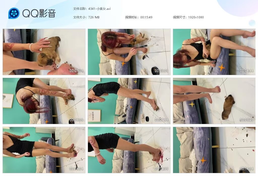 4341-小美女202