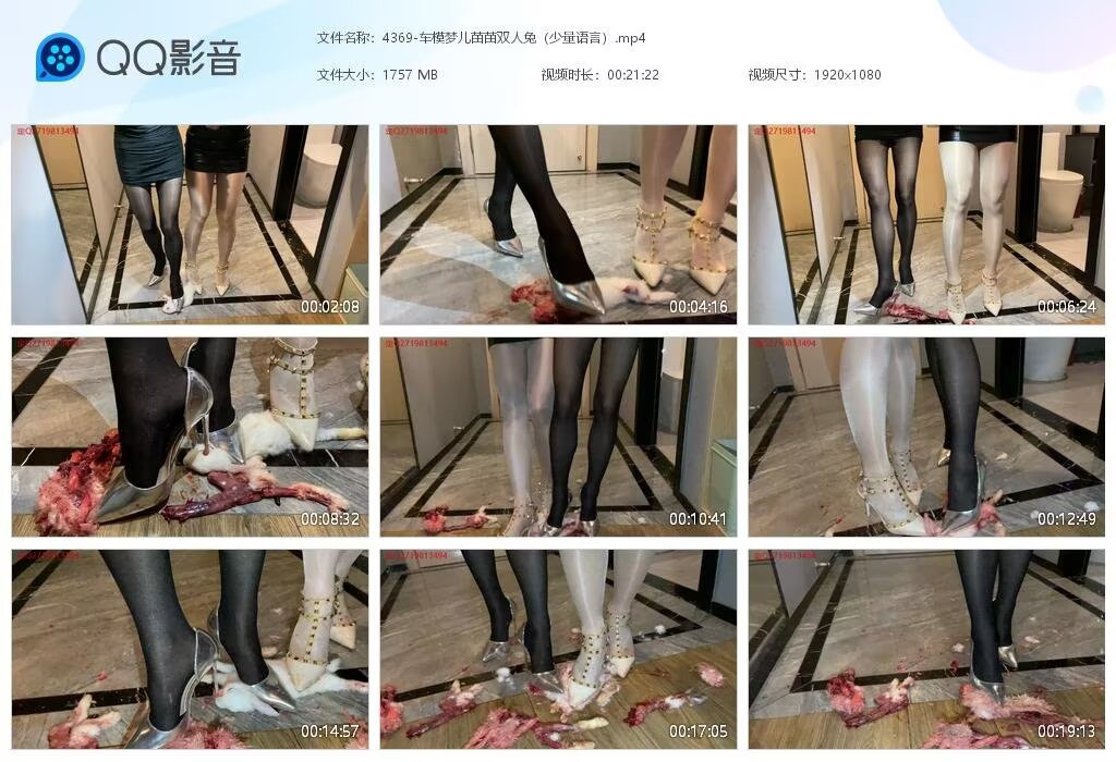 4369-车模梦儿苗