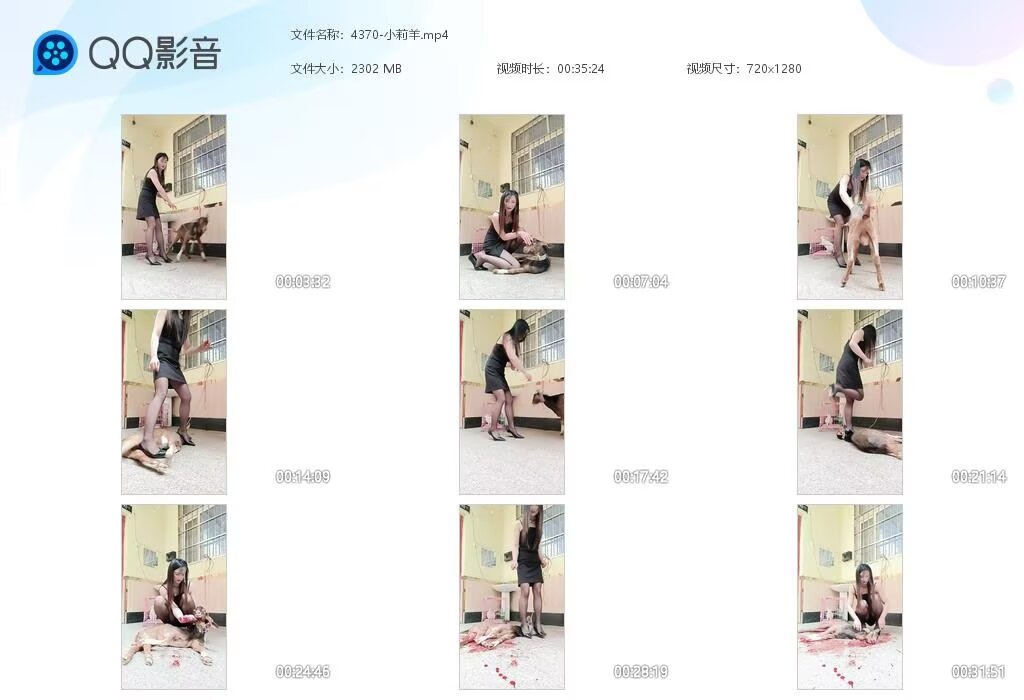 4370-小莉羊202