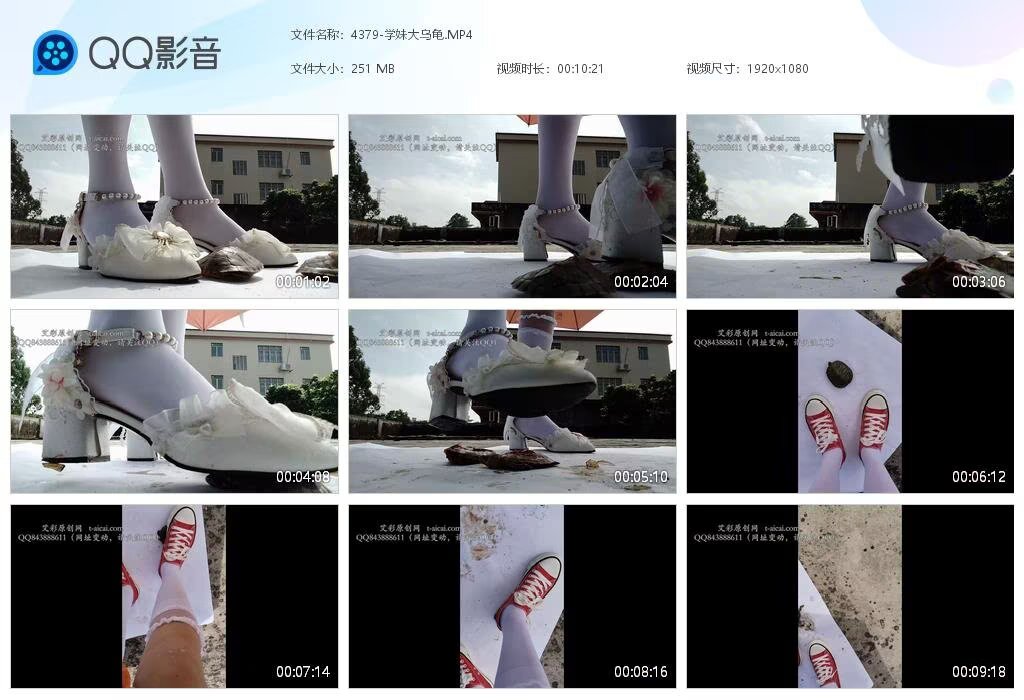 4379-学妹大乌龟