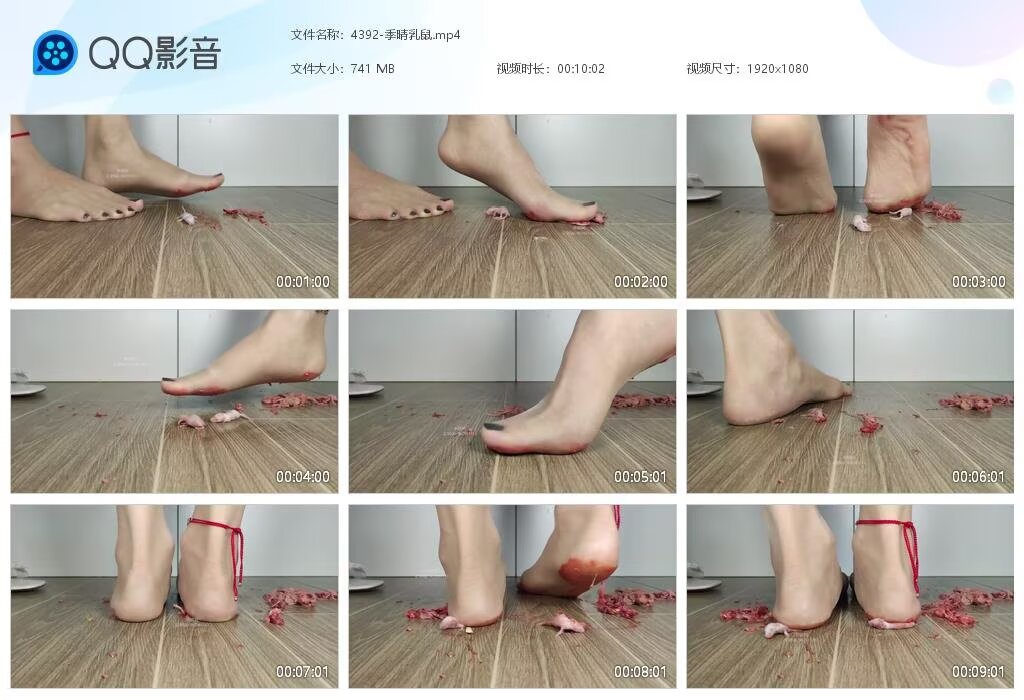 4392-季晴乳鼠2