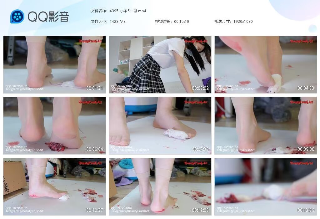 4395-小霏5白鼠