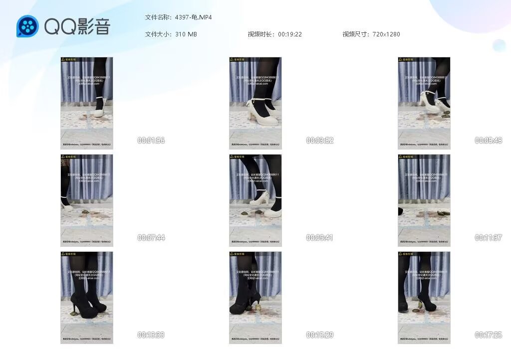 4397-龟2024091