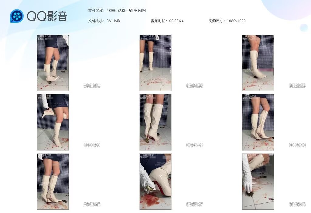 4399-萌棠巴西龟