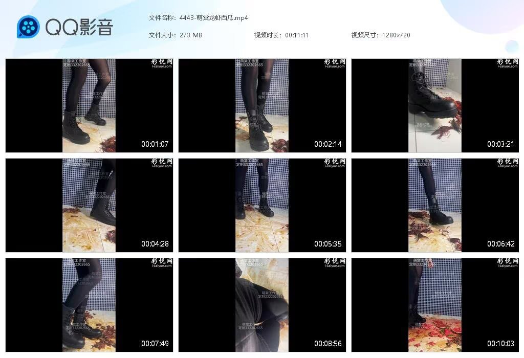 4443-萌棠龙虾西