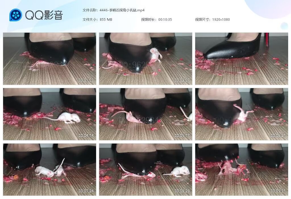 4446-季晴近视角