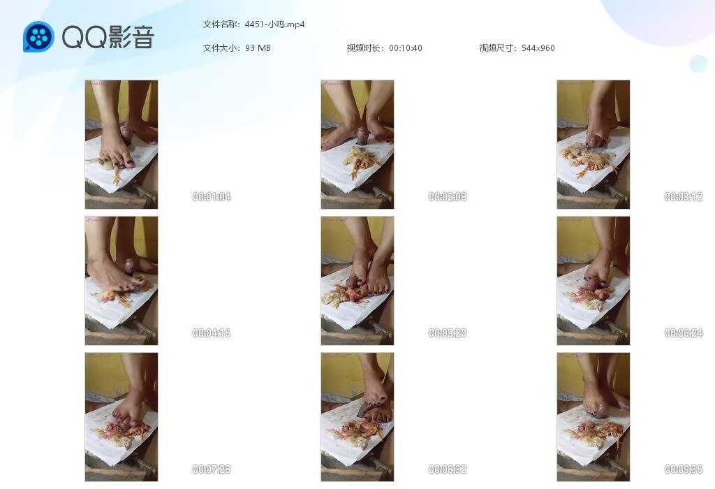 4451-小鸡20241