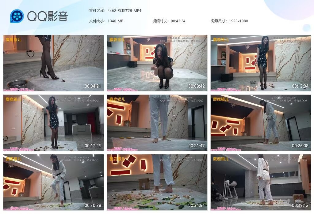 4462-露脸龙虾2