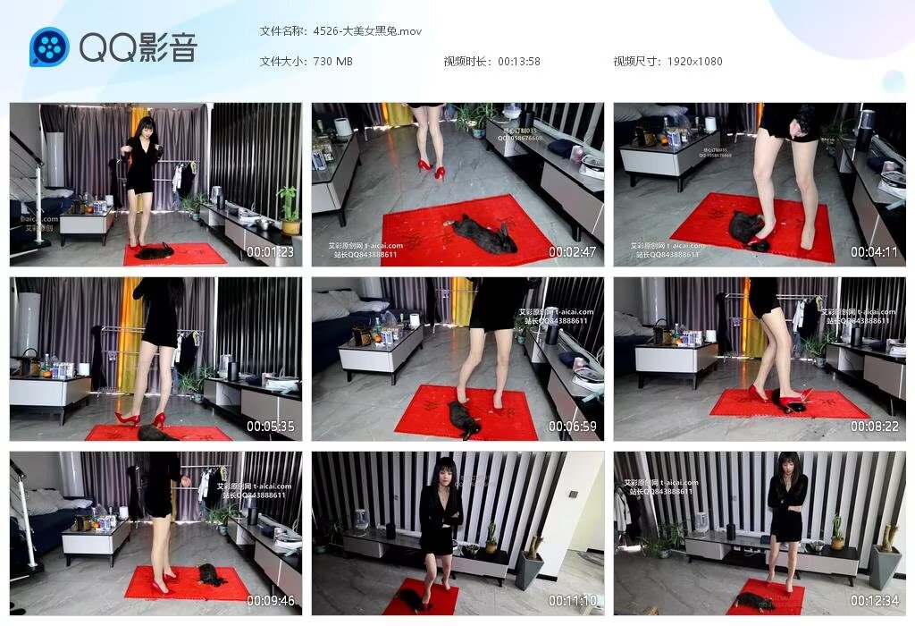 4526-大美女黑兔