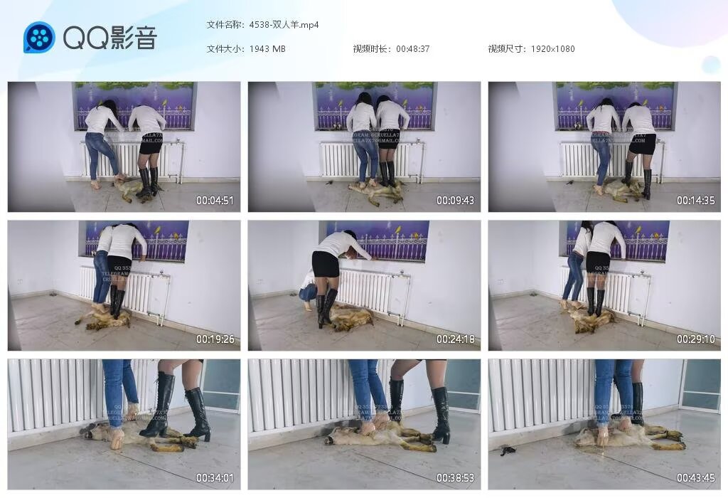 4538-双人羊202