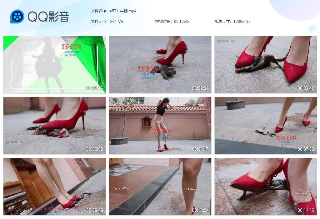 4571-牛蛙20250