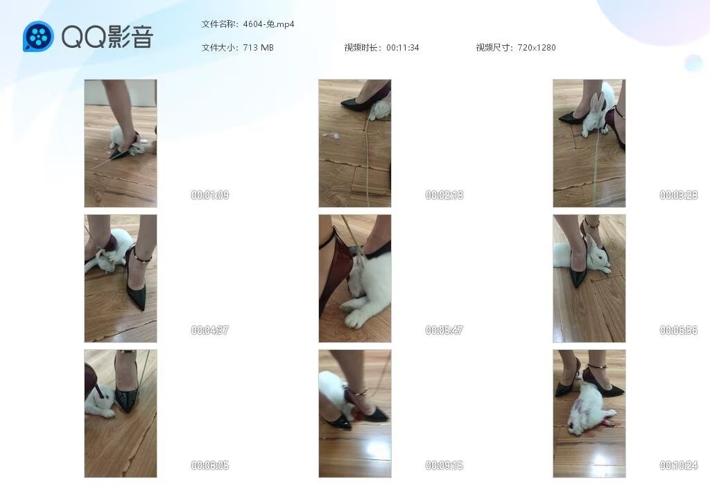 4604-兔2025011