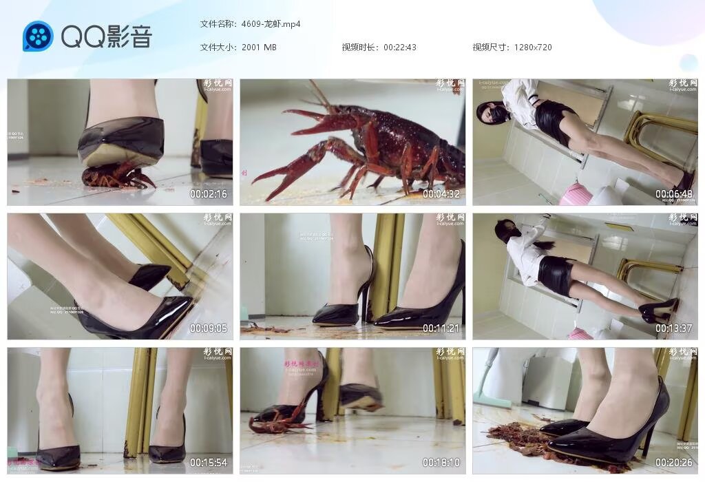 4609-龙虾20250