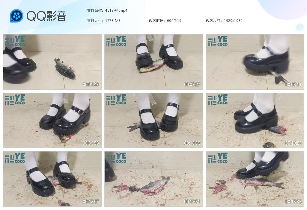 4619-鱼2025012