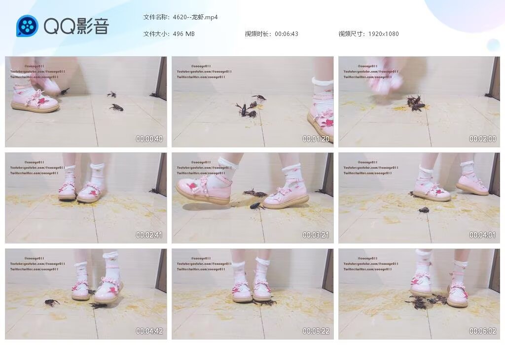 4620--龙虾2025