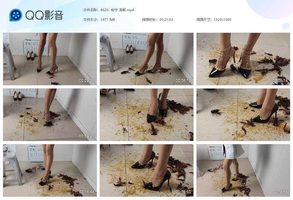 4626-仙宁龙虾2
