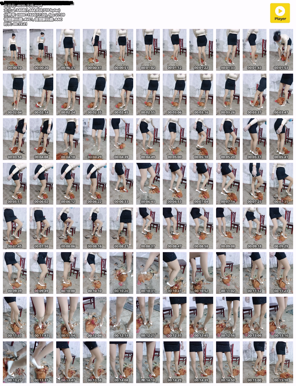4630-大鸡mp4NR