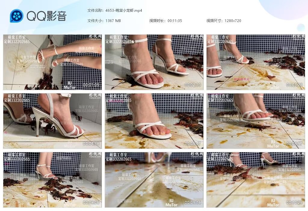 4653-萌棠小龙虾