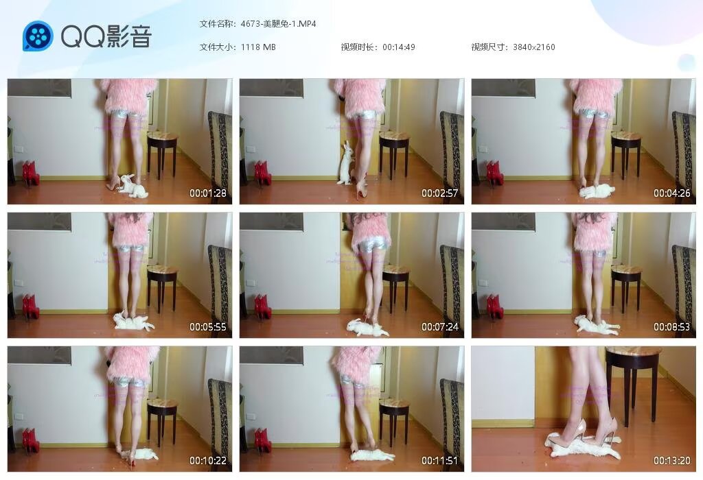4673-美腿兔-12