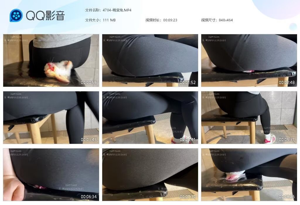 4704-萌棠兔202