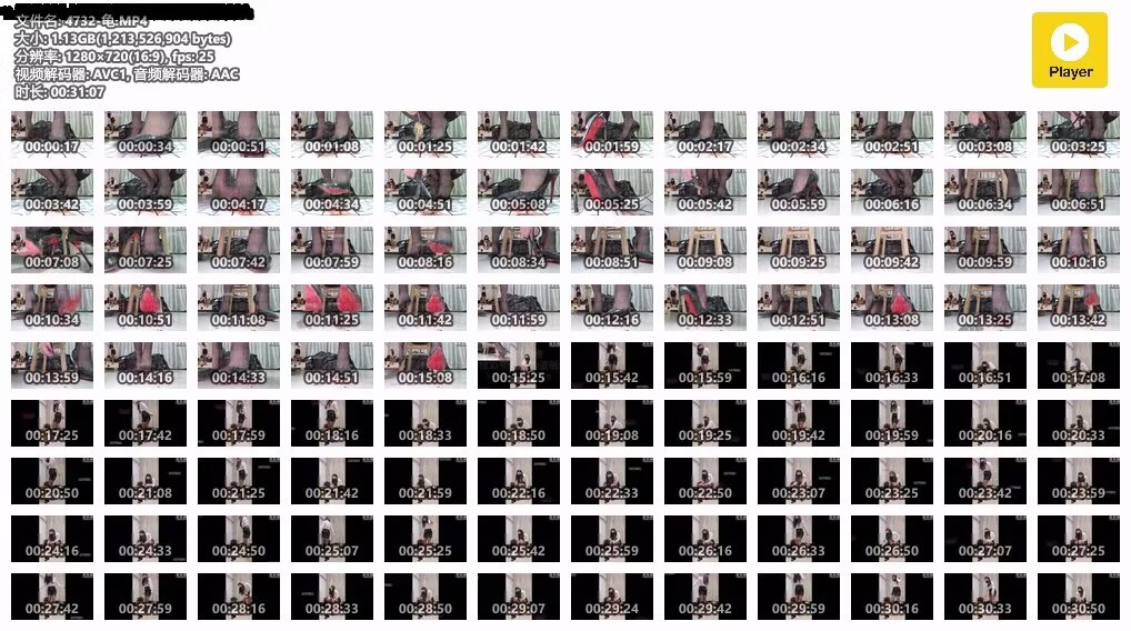 4732-龟MP4NR8A
