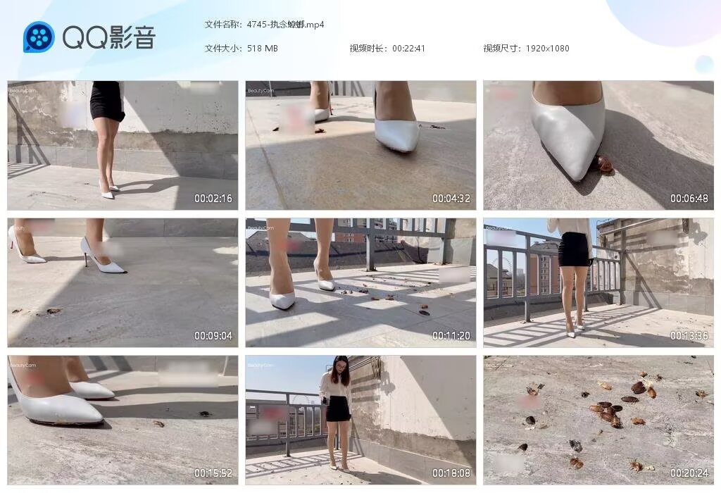 4745-执念蟑螂2