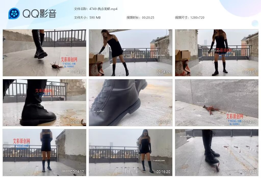 4749-执念龙虾2
