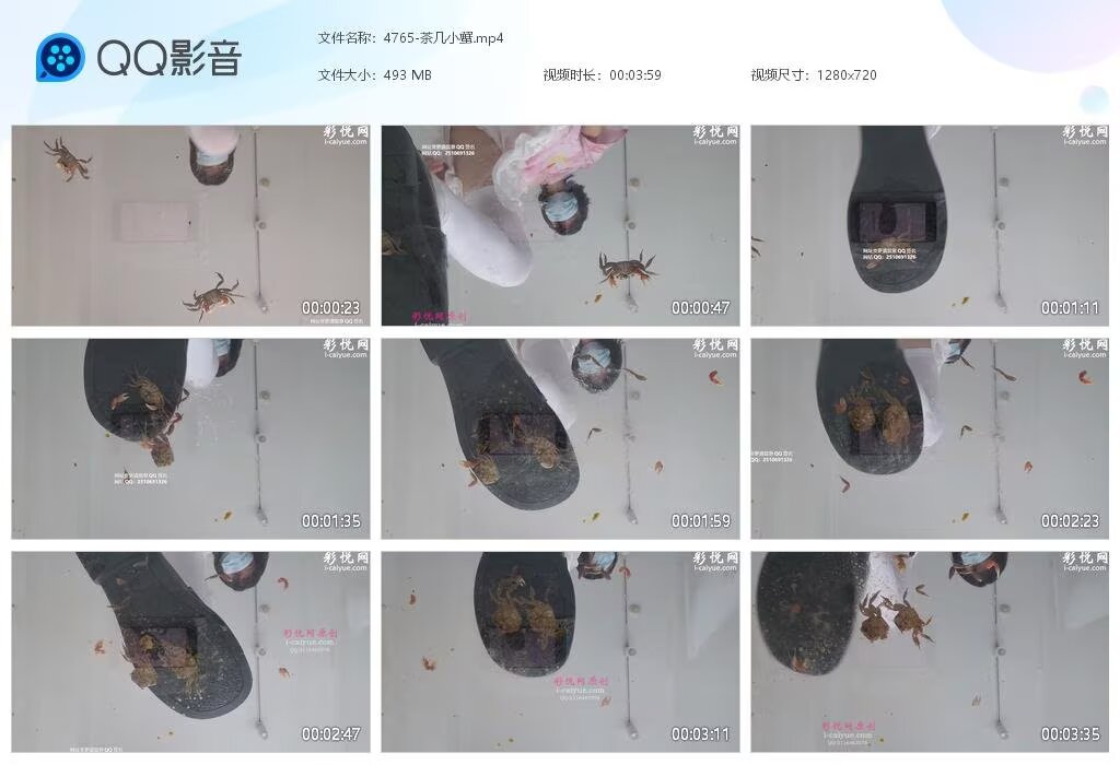 4765-茶几小蟹2