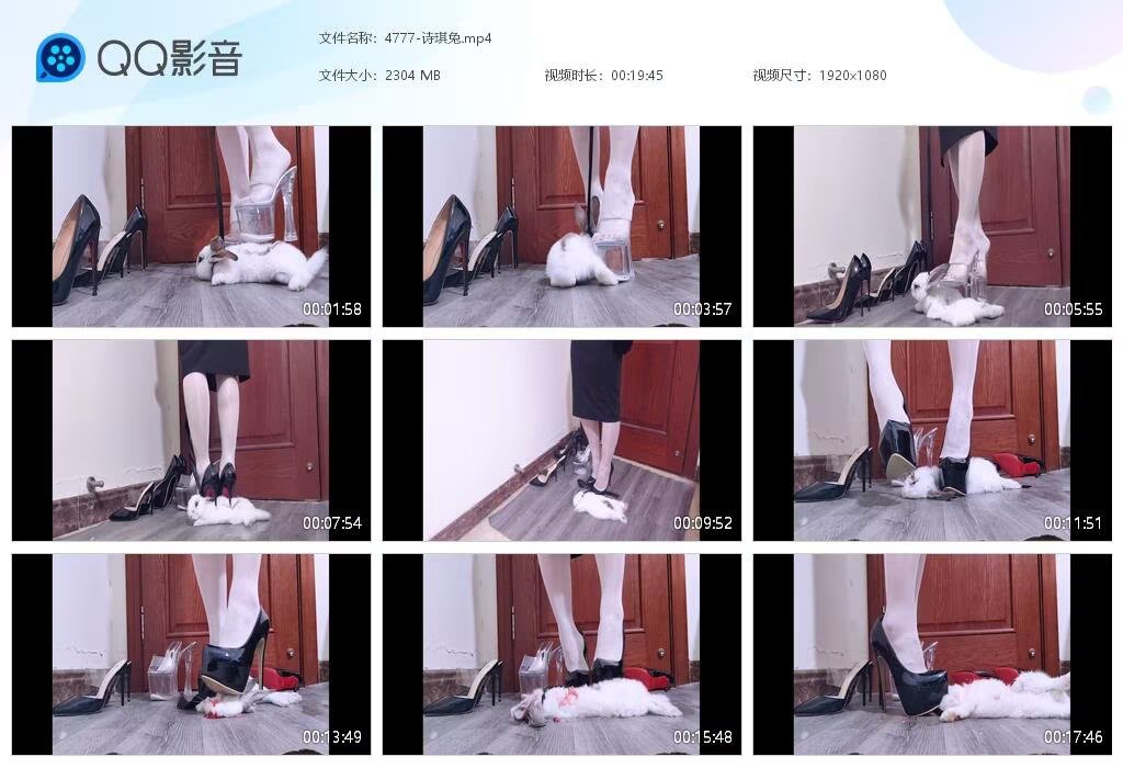 4777-诗琪兔202