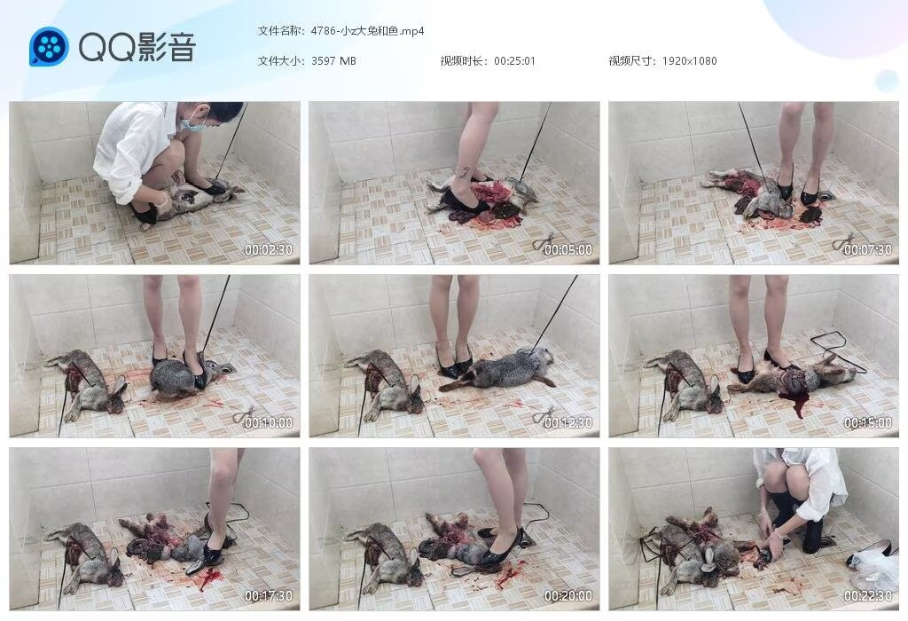 4786-小z大兔和鱼