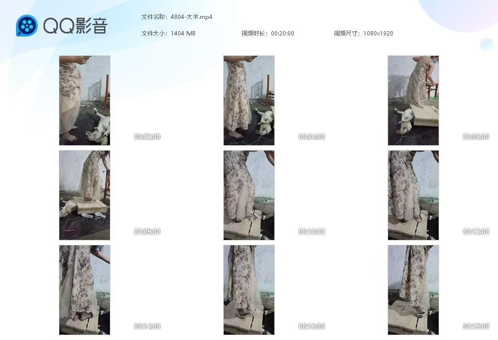 4804-大羊20250