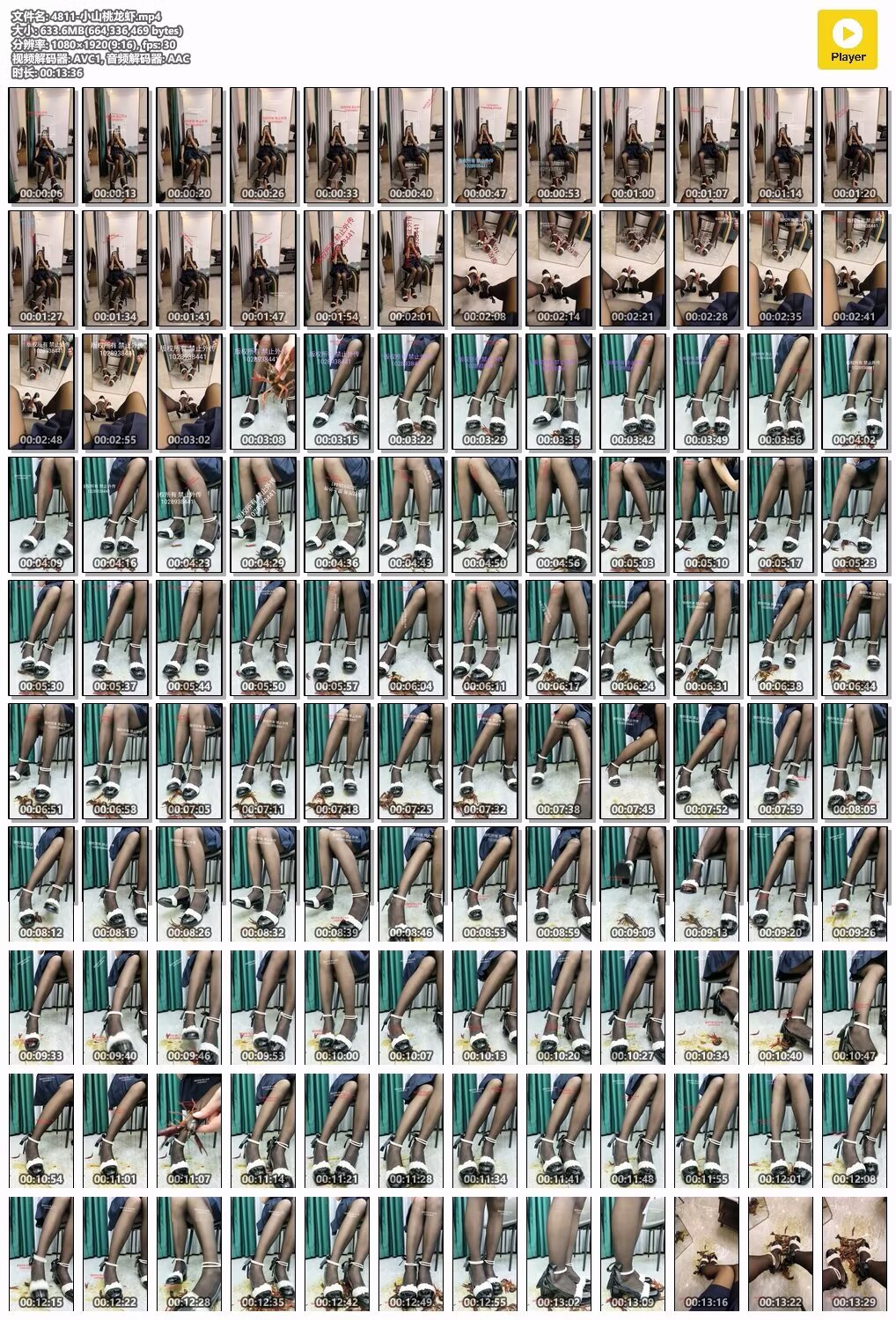 4811-