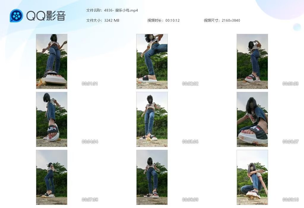 4836-斐乐小鸡2
