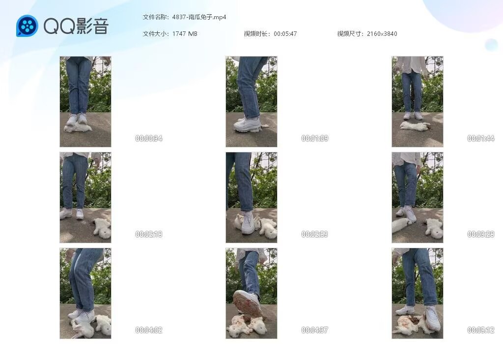 4837-南瓜兔子2