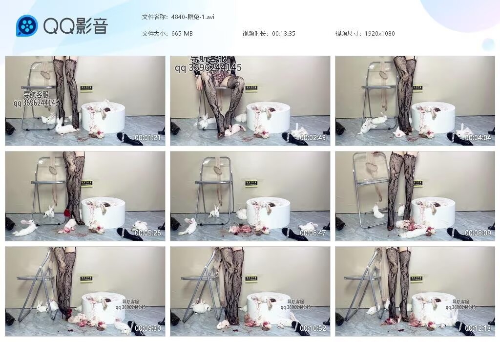 4840-群兔-1202