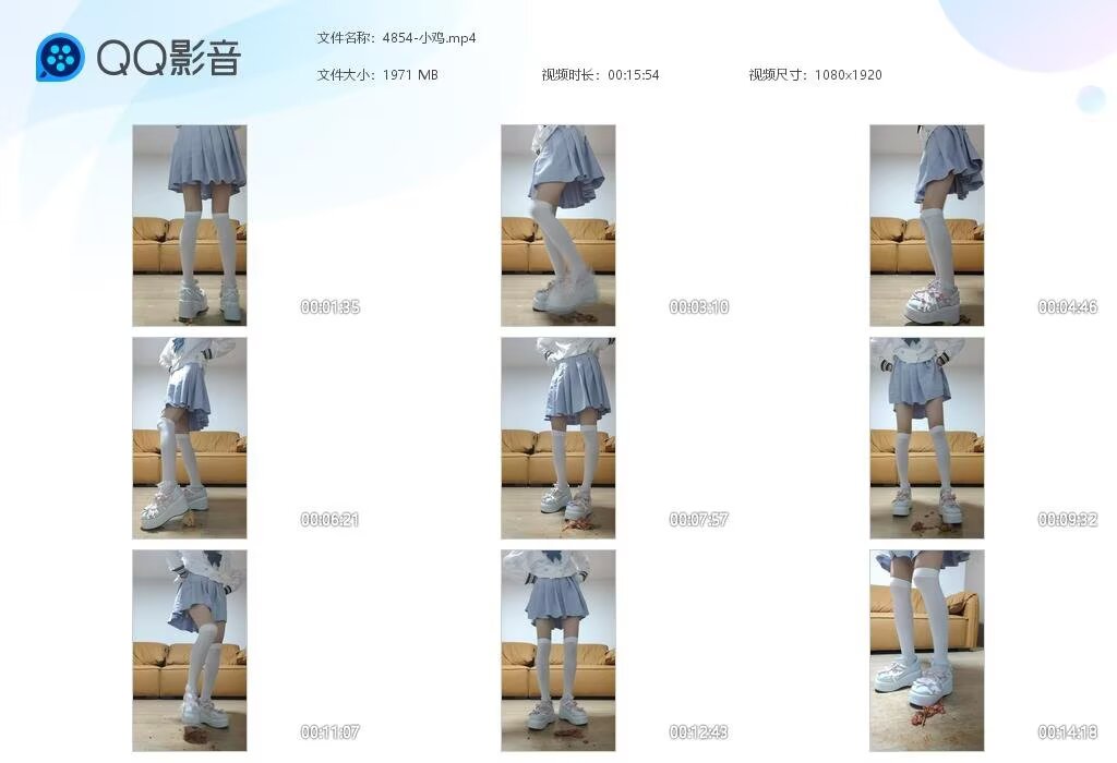4854-小鸡20250