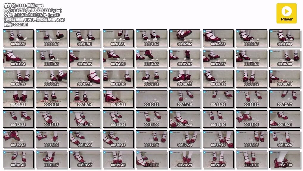 4863-