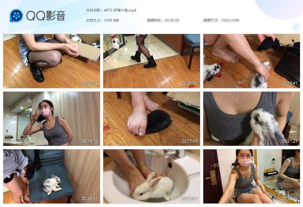 4875-梦瑶六兔2
