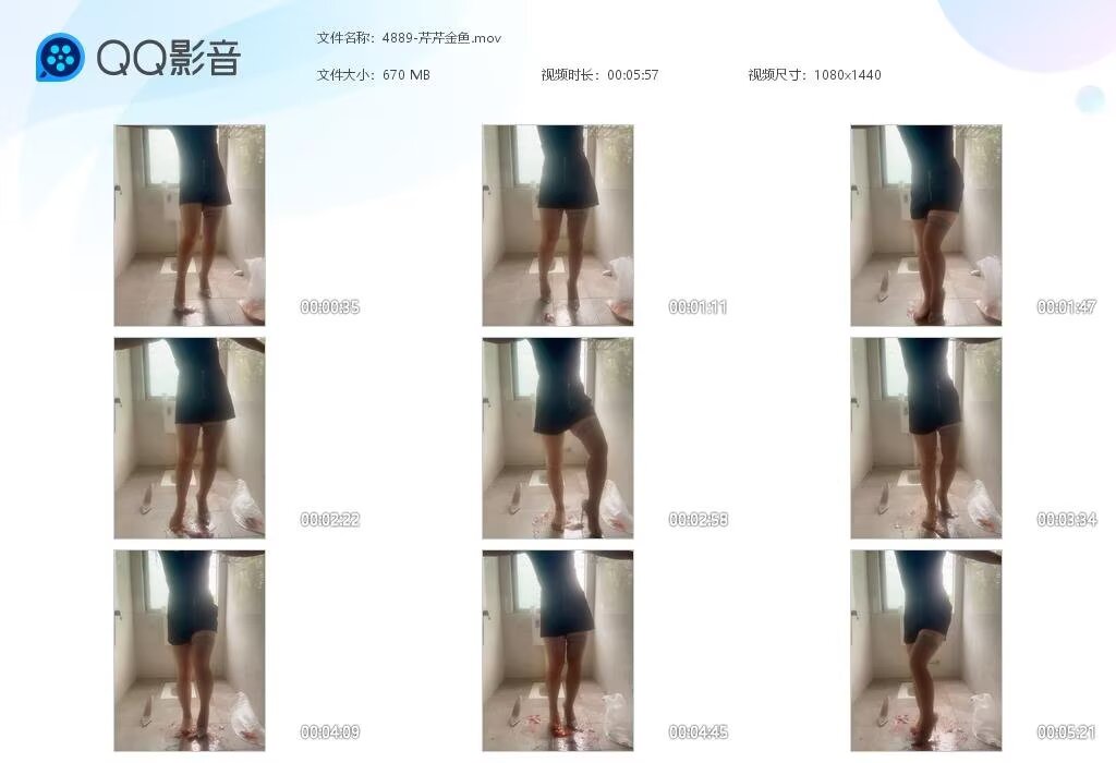 4889-芹芹金鱼2