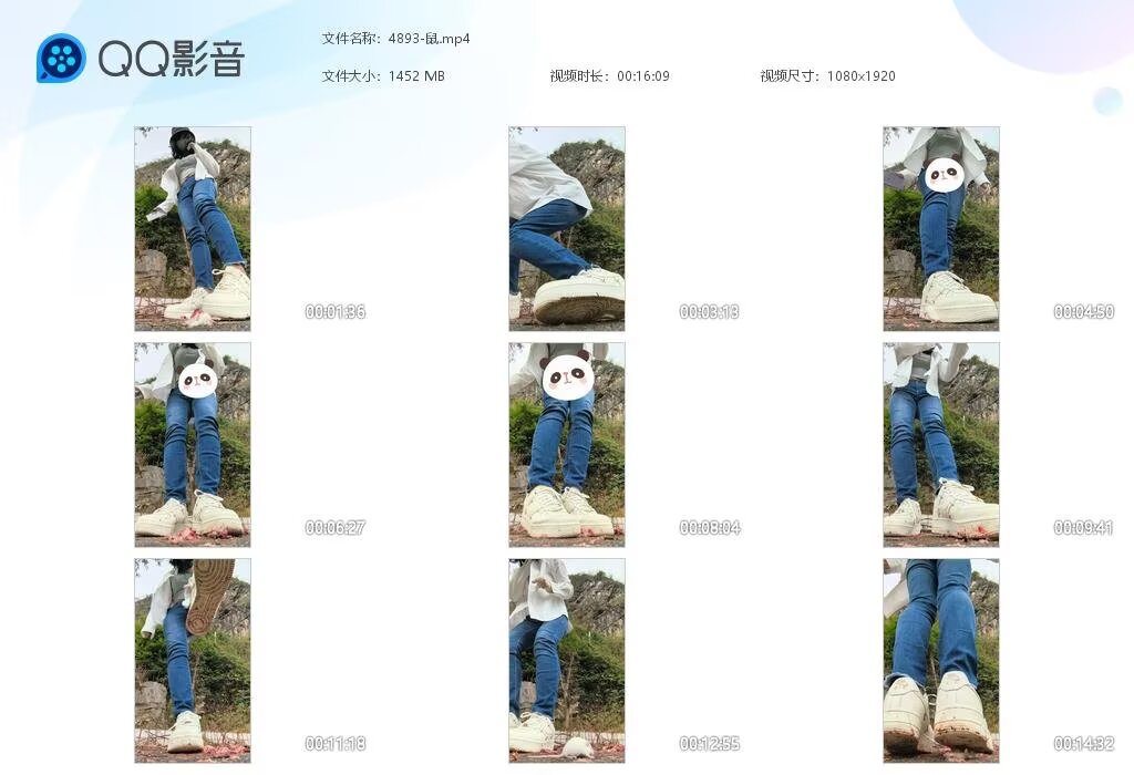 4893-鼠2025061