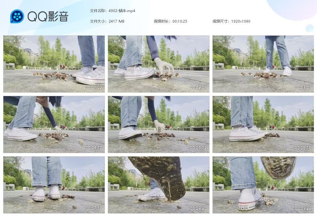 4902-蜗牛20250